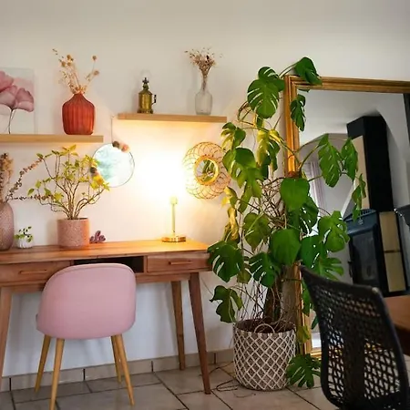 Grande Maison Cosy Proche Angers & Bords De Loire Holiday home *